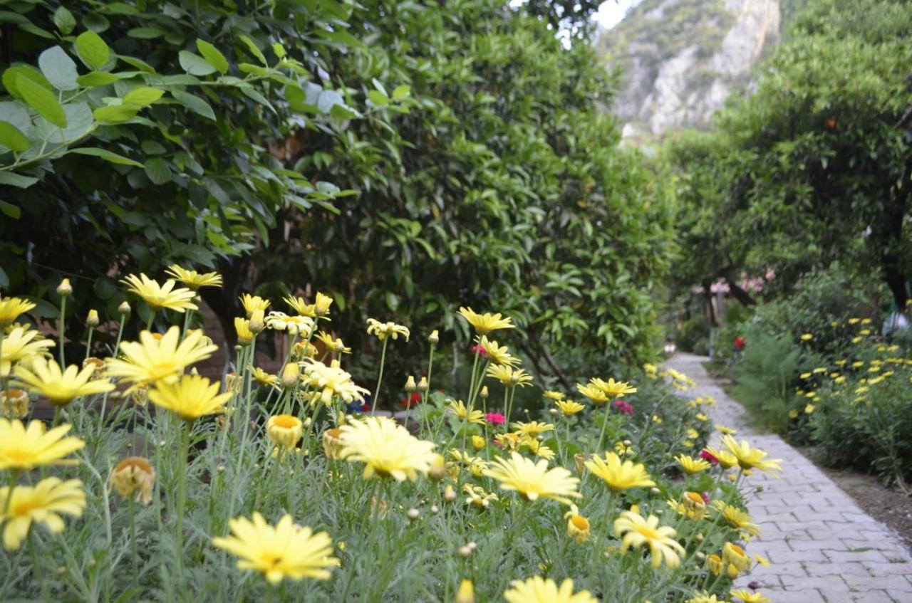 Mercan Pension Olympos Buitenkant foto