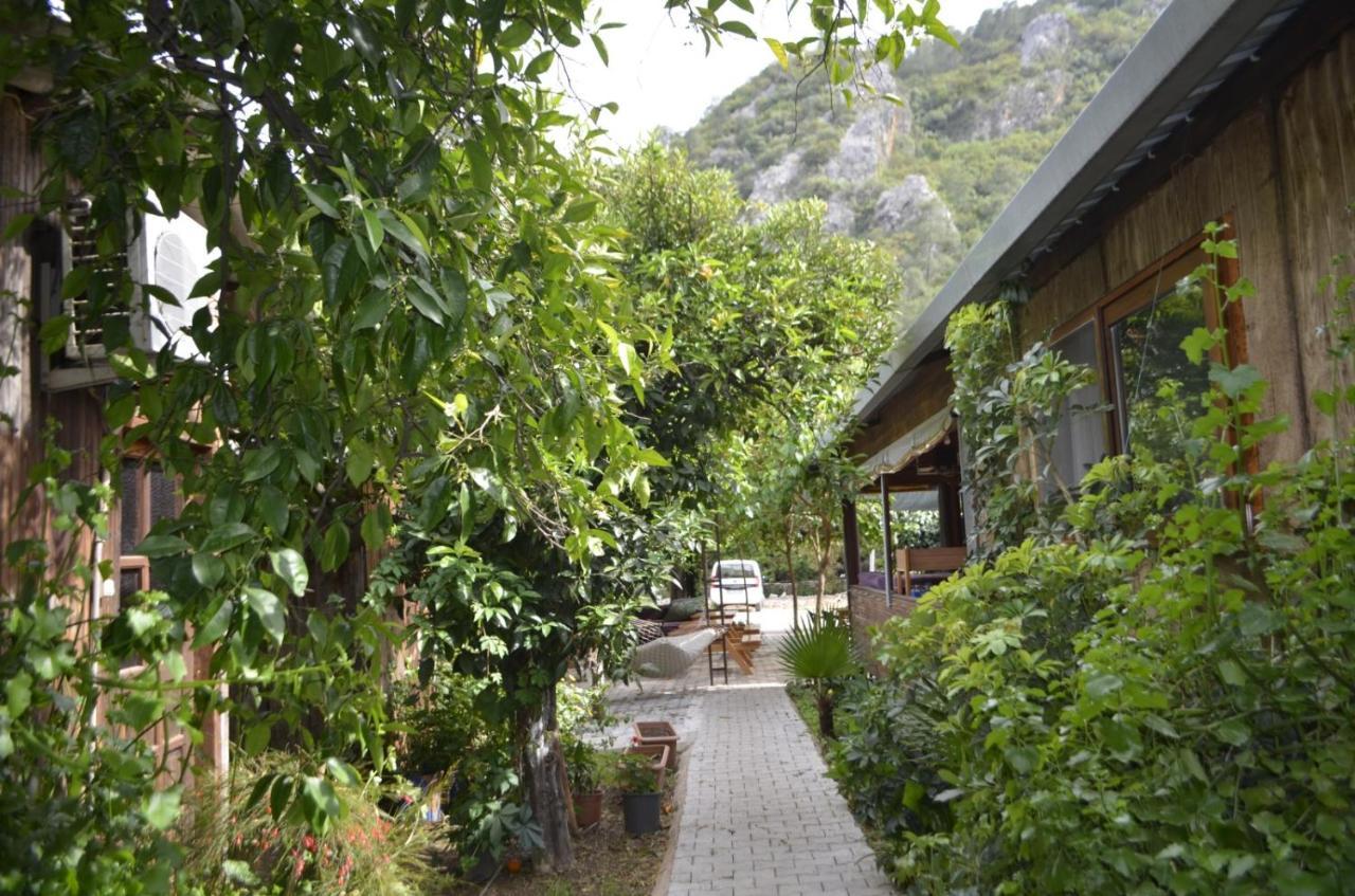 Mercan Pension Olympos Buitenkant foto