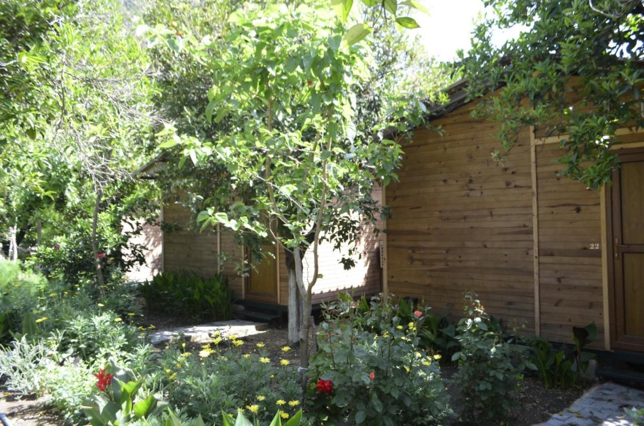 Mercan Pension Olympos Buitenkant foto