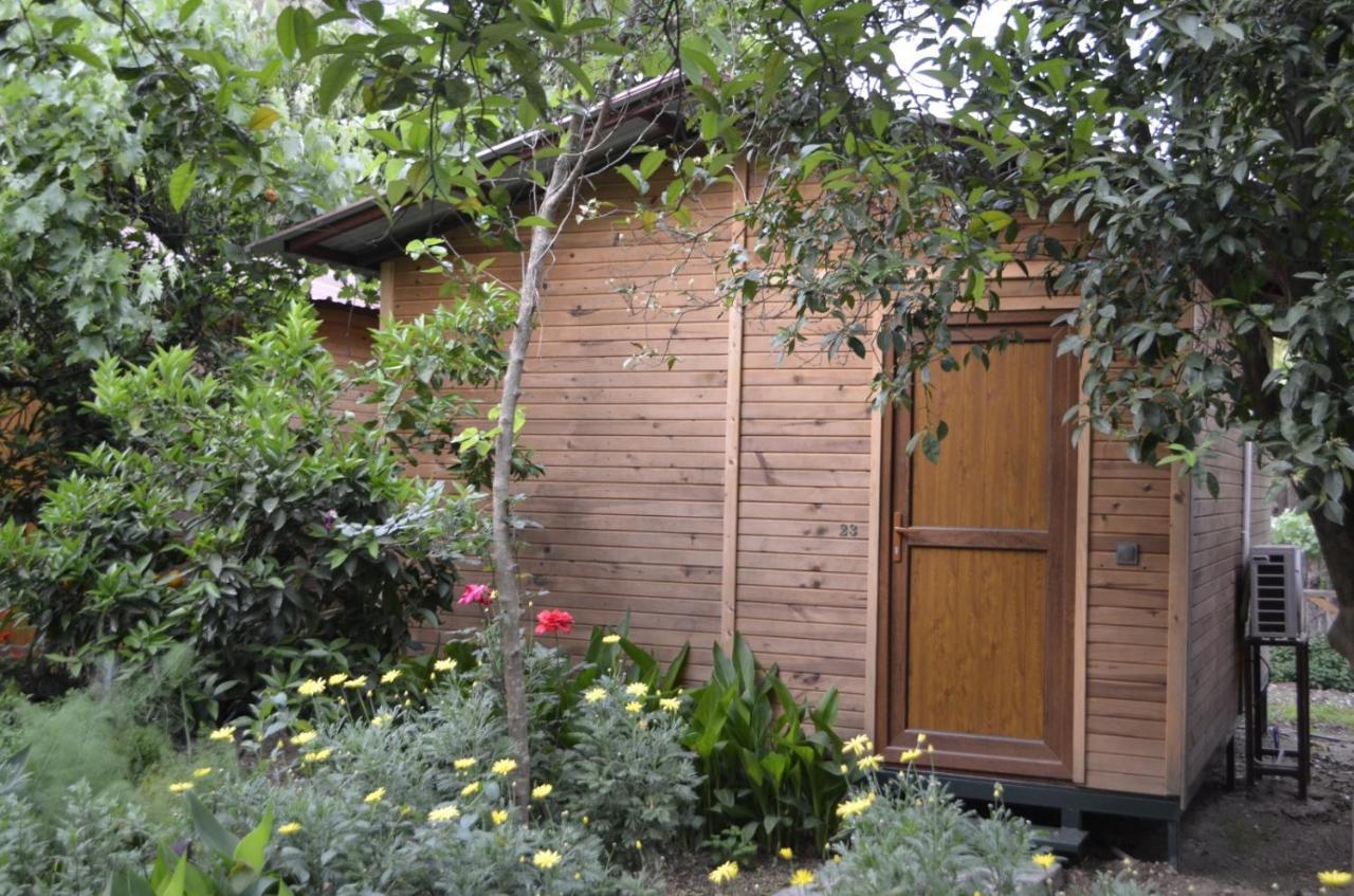 Mercan Pension Olympos Buitenkant foto