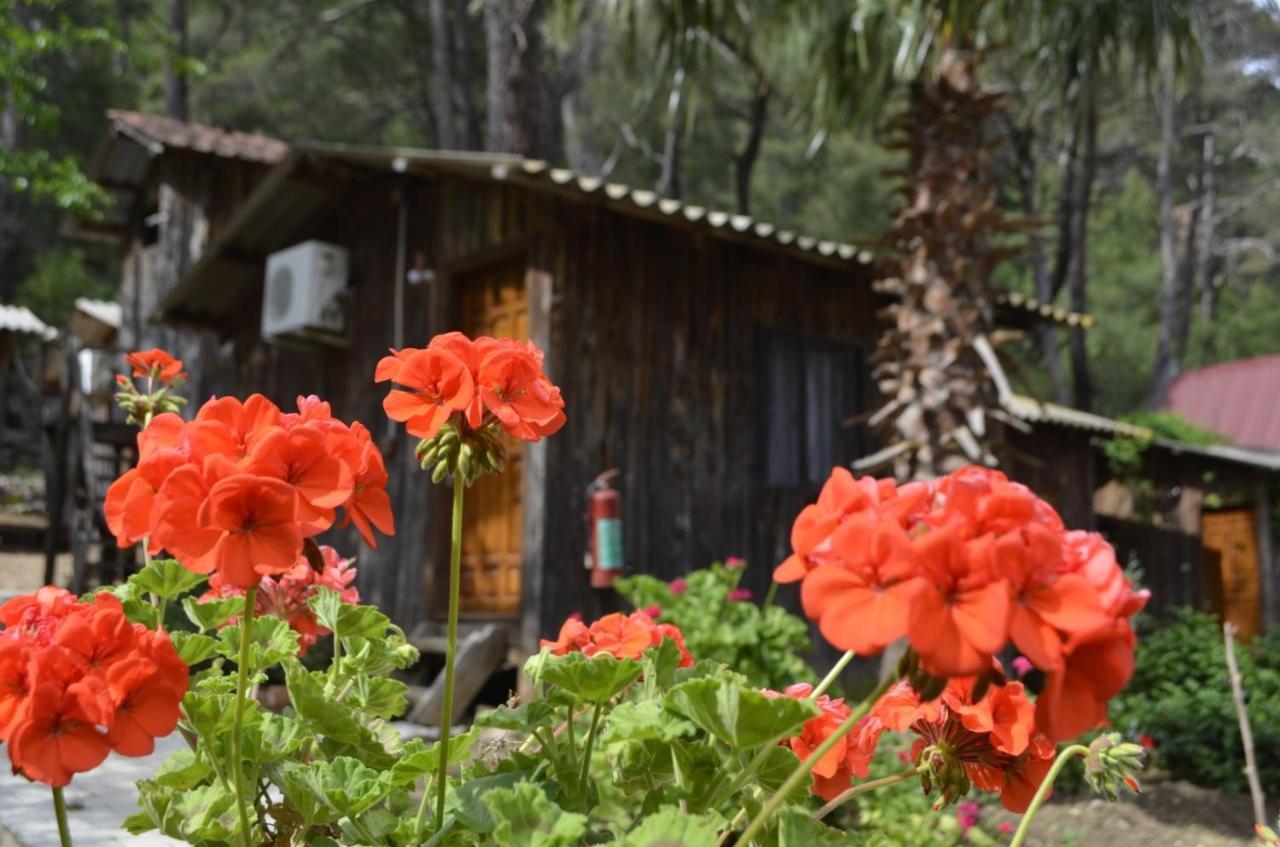 Mercan Pension Olympos Buitenkant foto