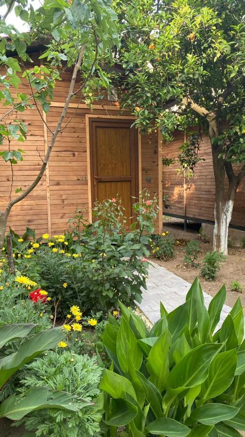 Mercan Pension Olympos Buitenkant foto