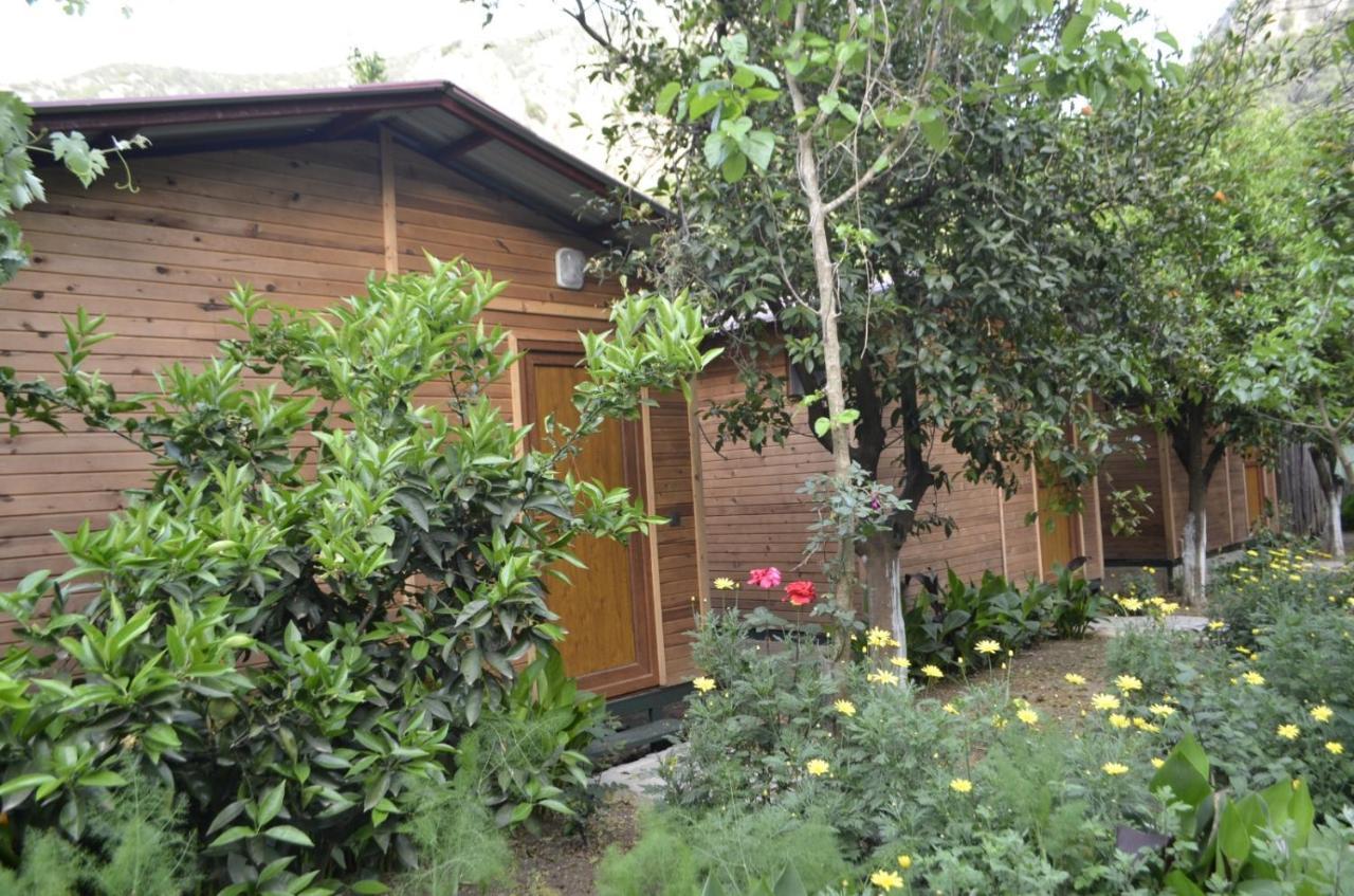 Mercan Pension Olympos Buitenkant foto