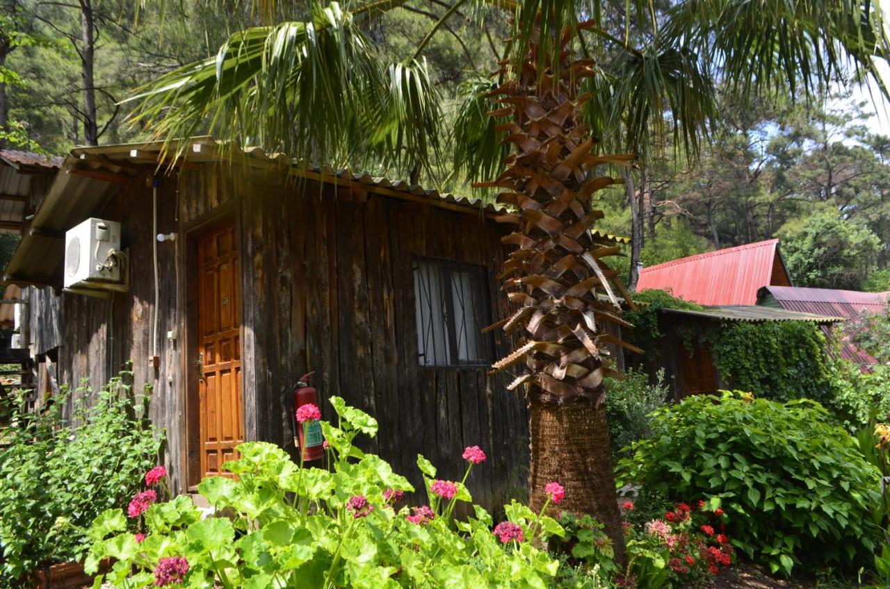 Mercan Pension Olympos Buitenkant foto