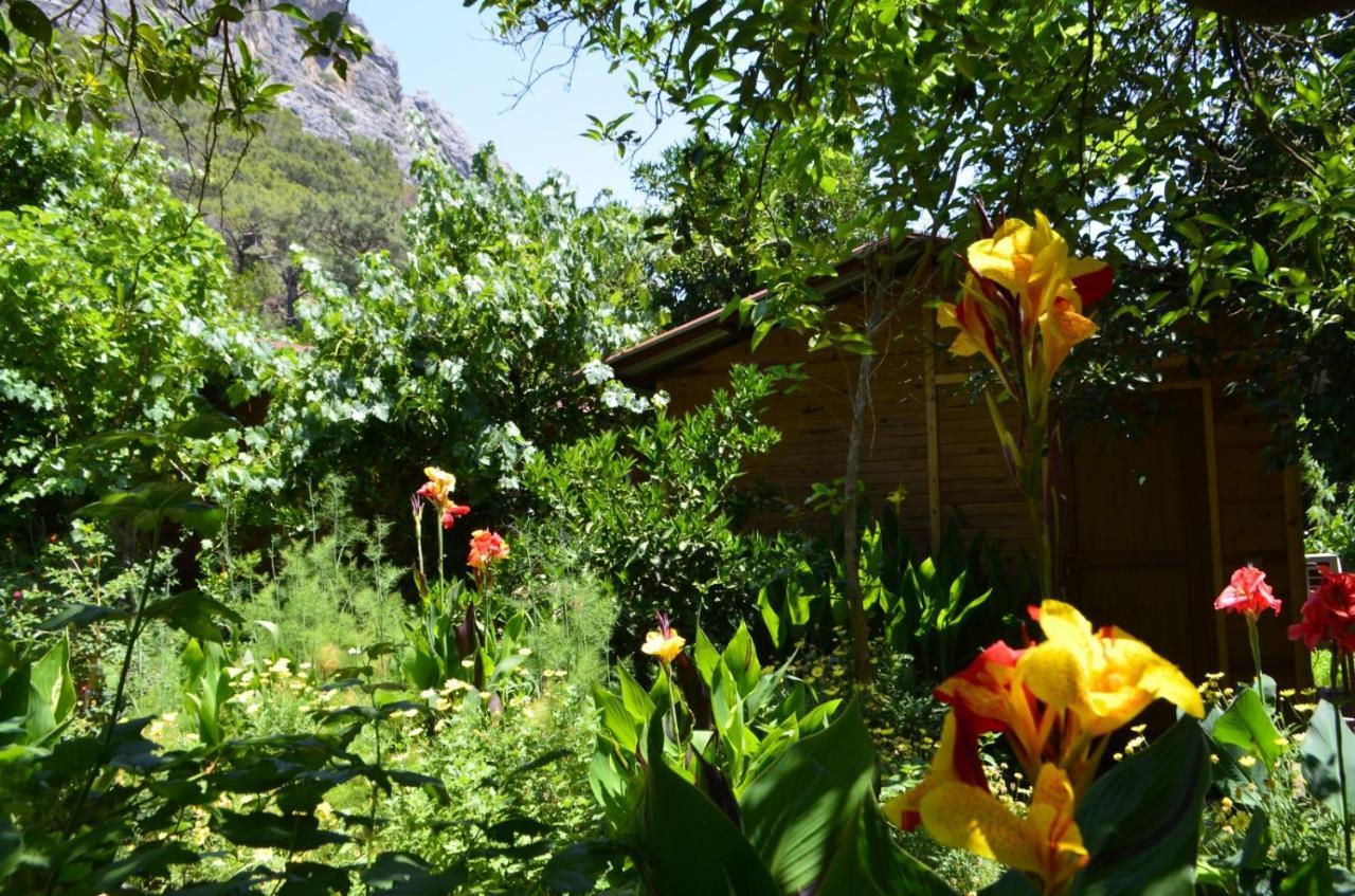 Mercan Pension Olympos Buitenkant foto