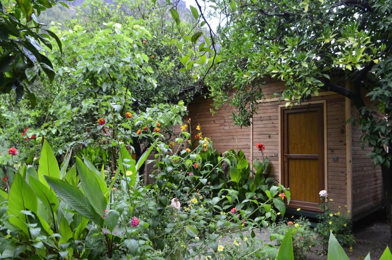 Mercan Pension Olympos Buitenkant foto