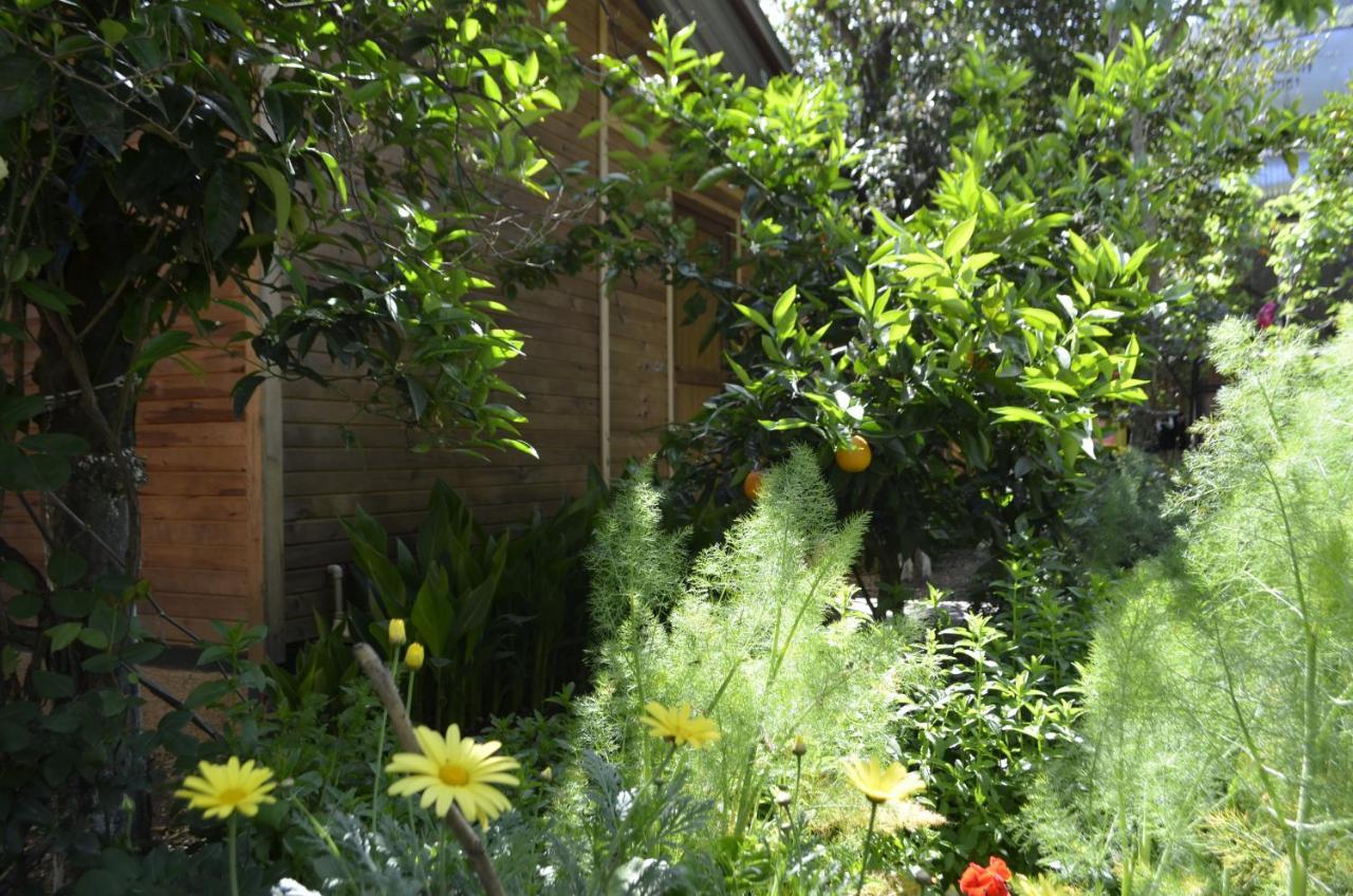 Mercan Pension Olympos Buitenkant foto