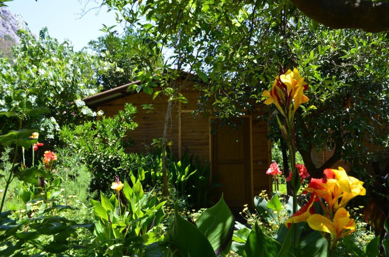 Mercan Pension Olympos Buitenkant foto