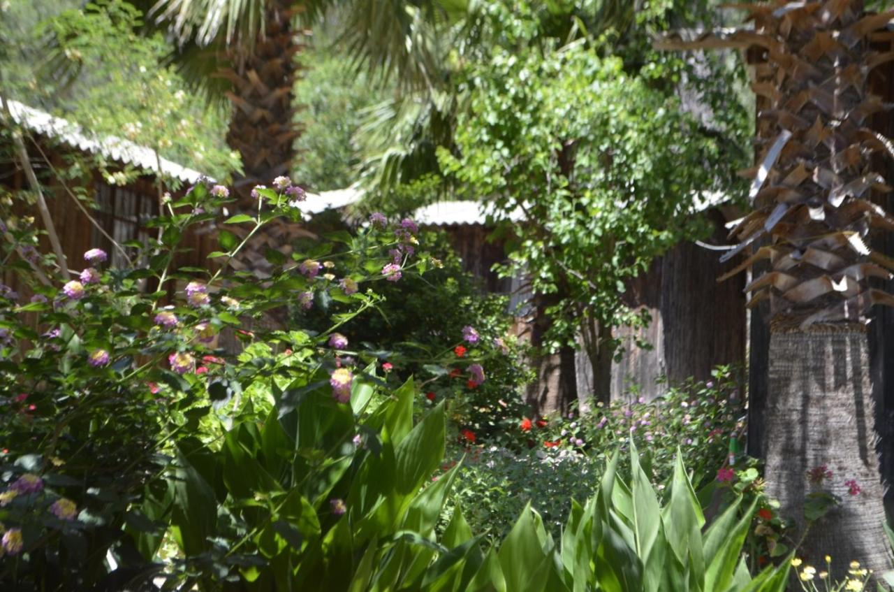 Mercan Pension Olympos Buitenkant foto