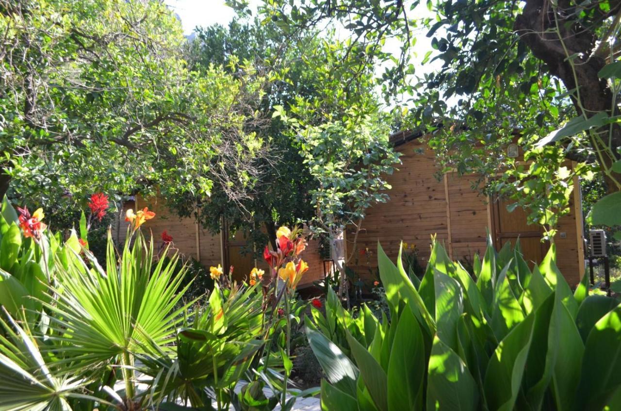 Mercan Pension Olympos Buitenkant foto