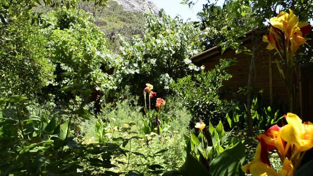 Mercan Pension Olympos Buitenkant foto